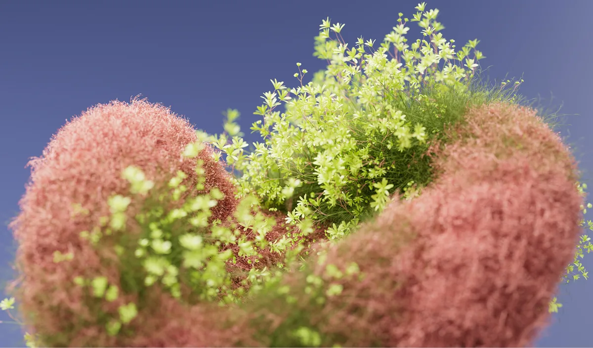 Blooming Dimensions series