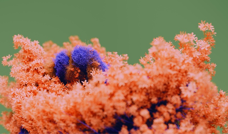 Blooming Dimensions 02 (LUT / HShift Edit)