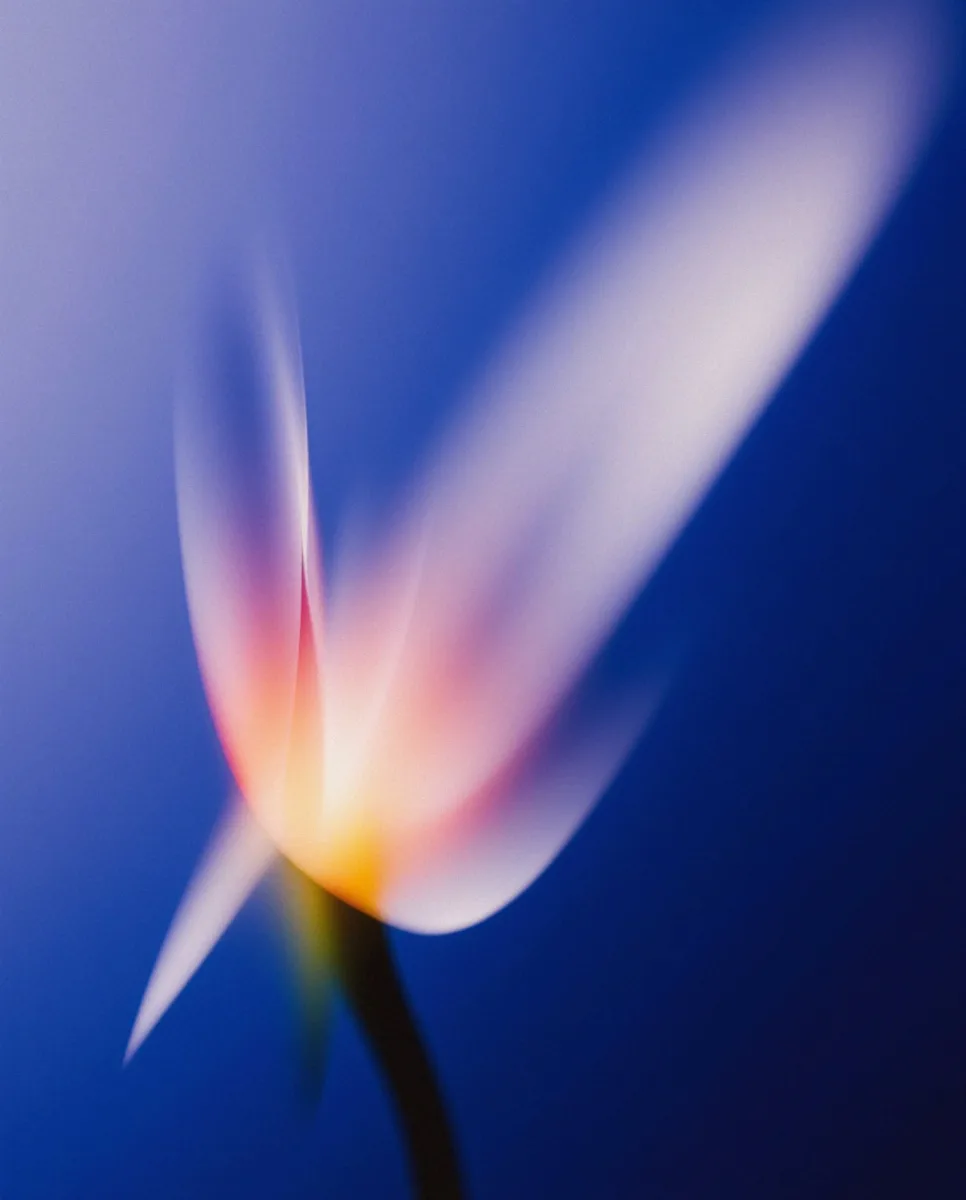 Blurred Flowers 03 wallpaper