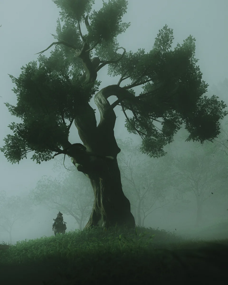 Virtual Photography wallpapers