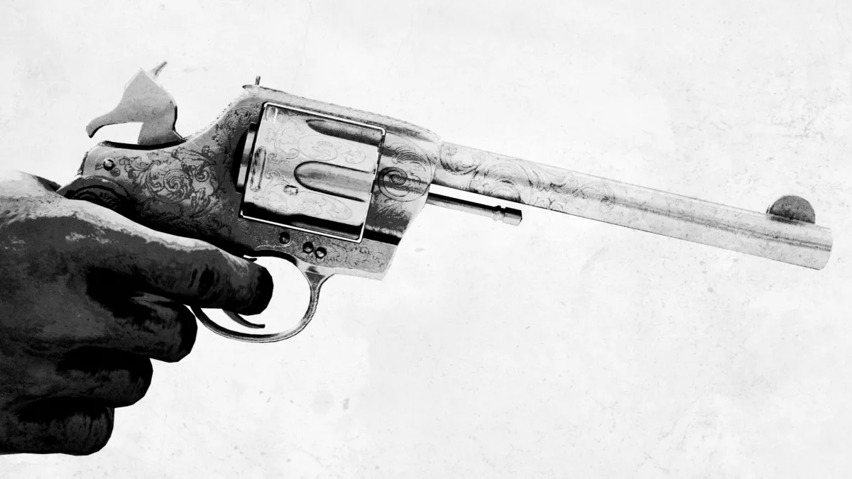Gun