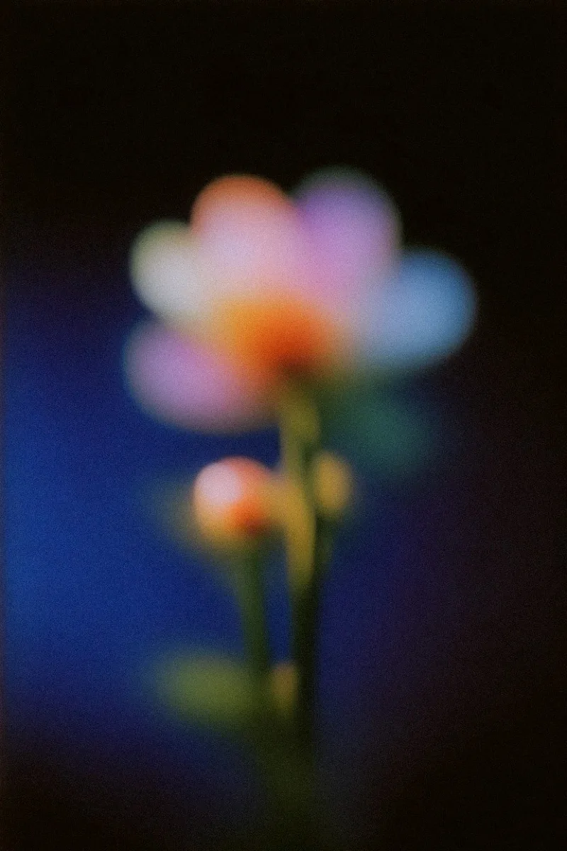 Unfocused Flower 2 wallpaper