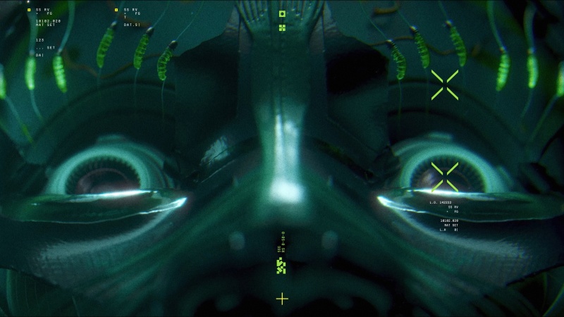 Runners Shell Reanimation