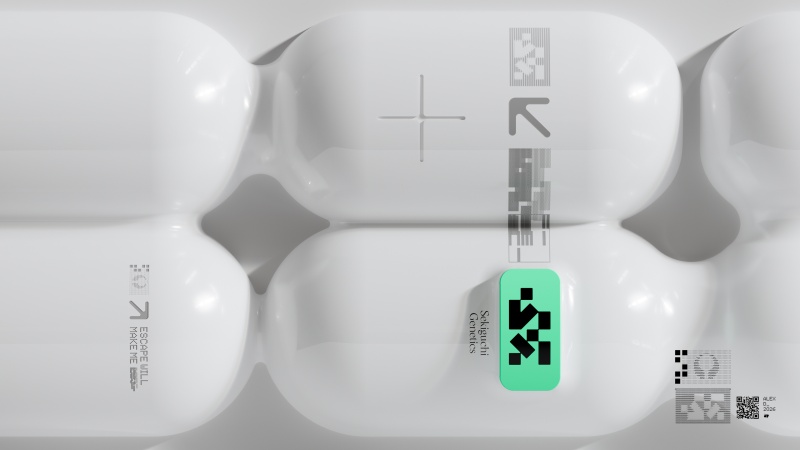 Sekiguchi / Maraton Faction 01