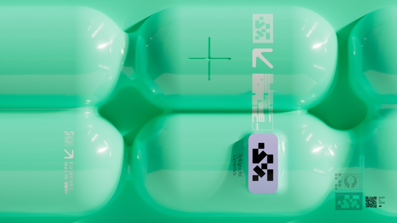 Sekiguchi / Maraton Faction 02